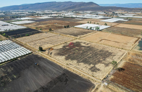 Terreno En Venta Ribera De Chapala, Jalisco