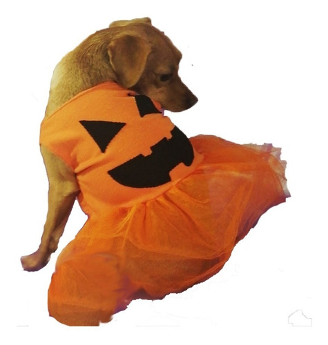 Disfraz Tutu Calabaza Halloween Perros Razas Grandes Y Xl