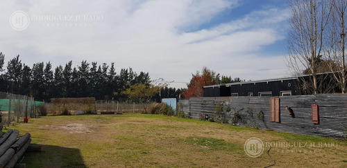 Imagen 3 de 4 de Terreno - Benavidez Lote En La Bota Listo Para Construir