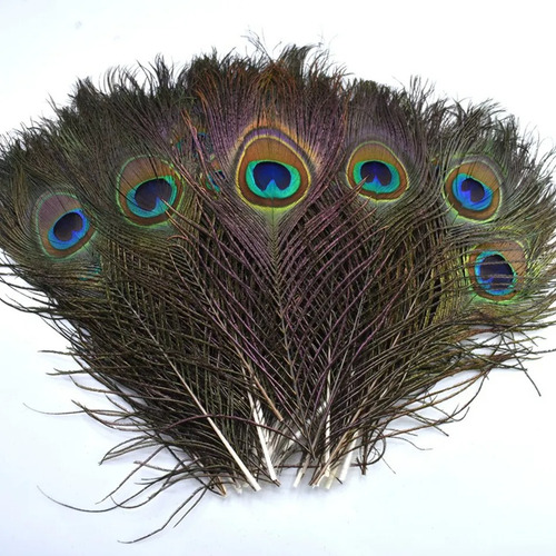 40 plumas de pavo real para manualidades, carnaval, fantasía, color verde