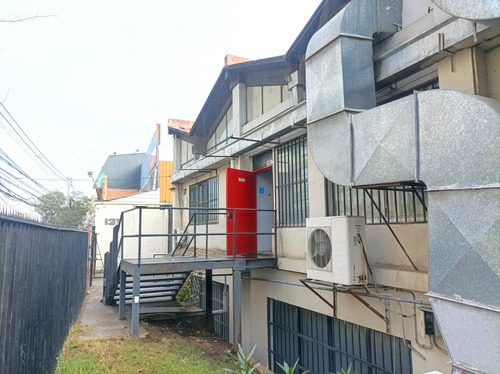 Planta Libre. Santa Elena. Maule. Metro Ñuble (177790)