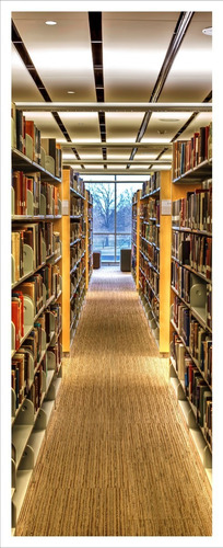 Adesivo Porta Biblioteca Estante De Livros Mod. 625