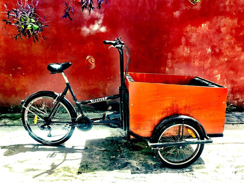 Tricicleta Con Carro Para Dos Niños Marca Lester - Negra - 7