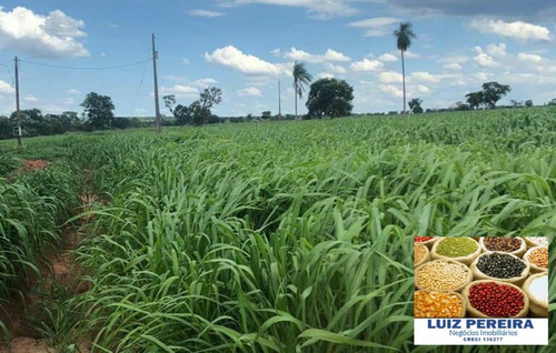 Fazenda Á Venda Em Recursolândia - Tocantins - (dupla Aptidão) - 1585