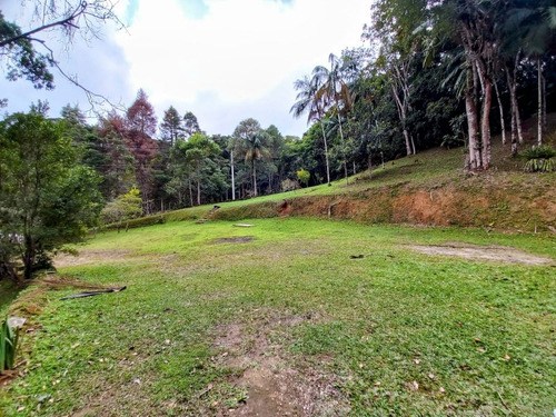Imagem 17 de 20 de Chácara À Venda Em Juquitiba Com Lago 14.000 M²