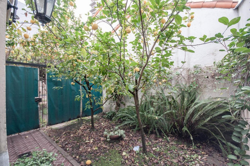 Imagen 7 de 30 de Casa 2 Plantas Ideal Para Dividir - Ortiz De Ocampo Al 200 - Quilmes Centro