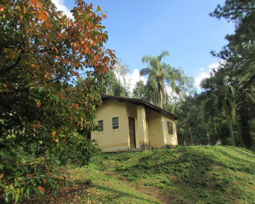 Imagem 7 de 11 de São Lourenço Da Serra, Lazer/morar - 04388 - 33229094