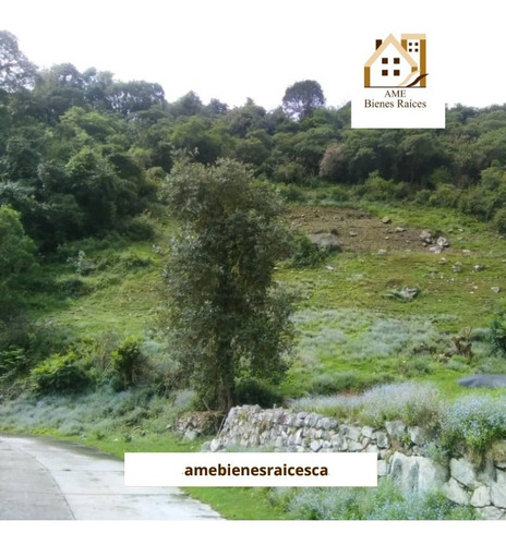 Imagen 4 de 10 de Finca En Alto De Mucuyupu, Timotes Piñango (la Laja)