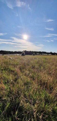 Venta Campo 5 Hectáreas Sierra De Los Padres
