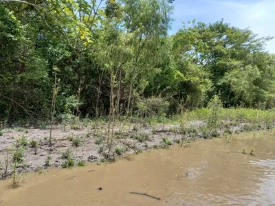 Finca en venta