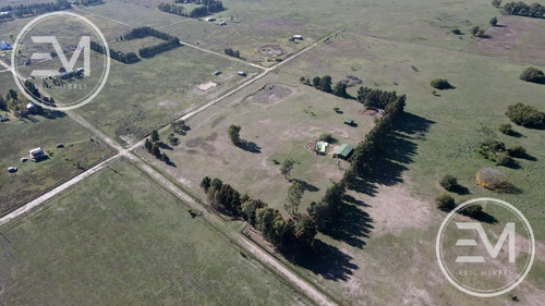 Venta Cabaña Sobre Gran Fracción De 4 Lotes Presidente Perón