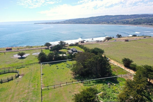 Pionero - Mirador Punta De Lobos