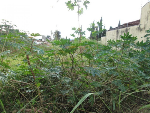 Terrenos - Ref: V3209