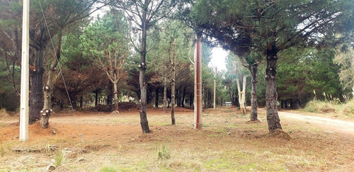 Imagen 6 de 7 de Venta Lote Terreno En La Lucila Del Mar
