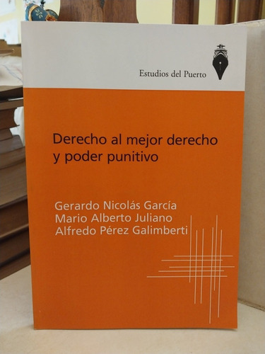 Derecho Al Mejor Derecho Y Poder Punitivo. García Galimberti