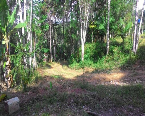 Chacara - Ch00044 - 32820347