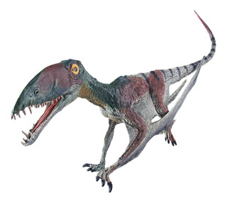 23cm alto Suki Dino terodáctilo tamaño m aprox 