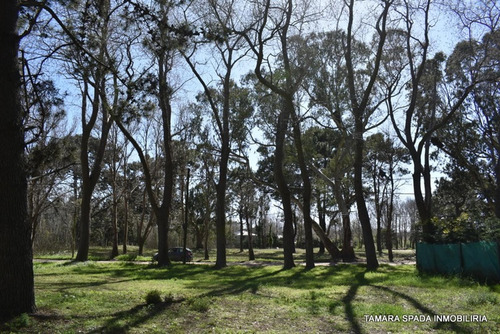 Imagen 2 de 5 de Lote En El Monte