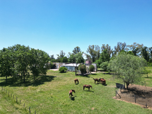 Campo En Pilar