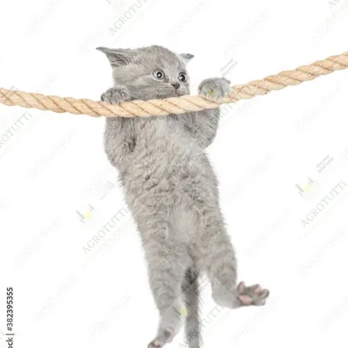 Cuerda Escalada Gato Fibra Natural 2.5 Cm Grosor X 5mt Largo