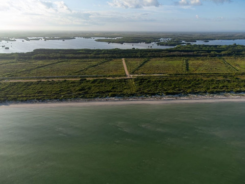 Imagen 10 de 12 de Casa En Venta En Sisal, Yucatan