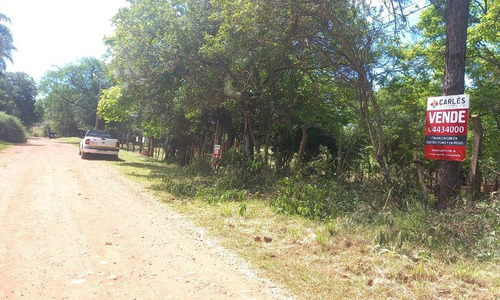 (cod. 319) - Hermoso Lote Acceso Oeste - Barrio Tacuaritas