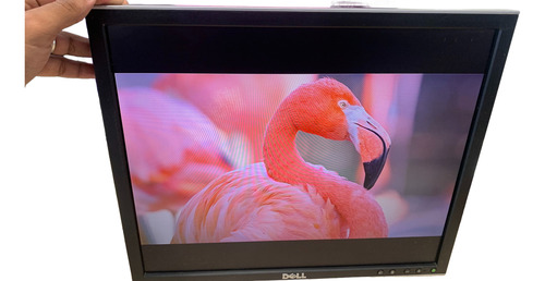 Monitor Dell 1908fpc 0kw557 ( Sem Suporte ) (Usado)