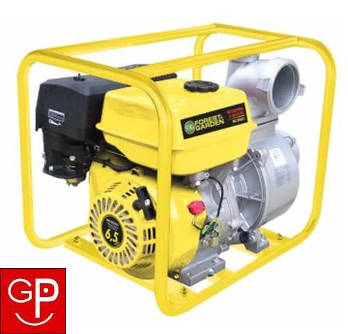 Motobombas A Gasolina 6.5hp Mg8030/2 Forest & Garden G P