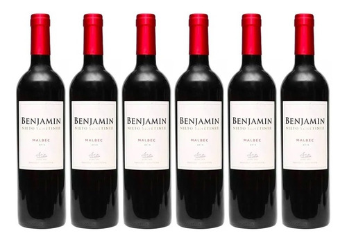 Vino Benjamín Nieto Malbec X750cc Caja X6