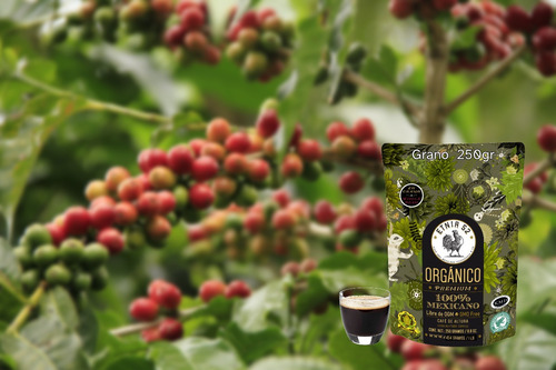 Imagen 3 de 6 de Café Orgánico En Grano Etnia 52 - 250 Gramos