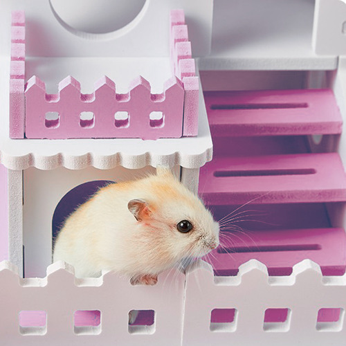 Gaiola Moderna Para Hamster Playground Design Gourmet