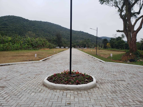 Imagem 6 de 10 de Lotes De 200m² Na Guarda Do Cubatão, Pagamento Facilitado.