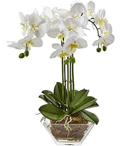 Casi Natural 4570 Triple Phalaenopsis Orquídea En Florero De