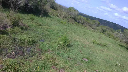 72 Hectáreas En Cuchilla Juan Gomez
