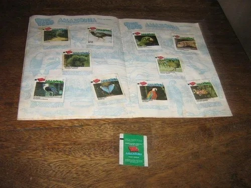 Album De Figur Ping Pong Amazonia 1984 Completo + Embalagem (Usado)
