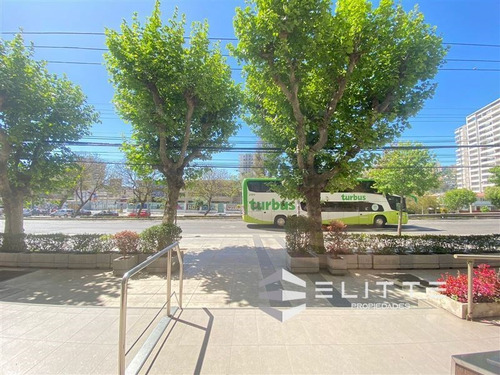 Depto. En Arriendo 2 Dormitorios Centro De Viña