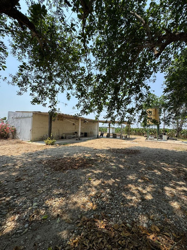 Terreno En Venta De Terreno/ Rancho En La Comunidad De Santa Teresa Tuxtepec Oaxaca
