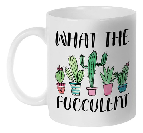 Fatbaby ¿qué Es El Cactus Fucculento? Jardinería De Plantas