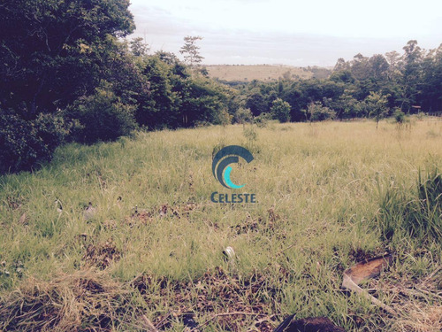 Imagem 1 de 4 de Terreno À Venda, 3000 M² Por R$ 300.000,00 - Jardim Das Cerejeiras - São José Dos Campos/sp - Te0086