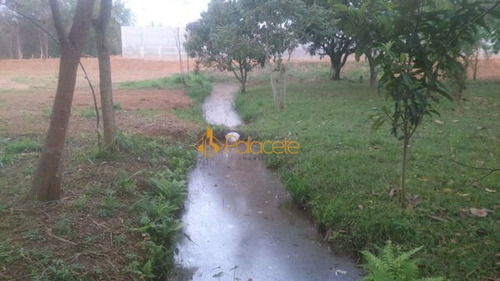 Imagem 10 de 13 de Rural Chacara - 941721-v
