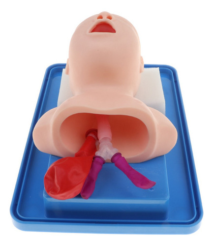 Practice Canula De Tubo Modelo Para Bebés Recién Nacidos