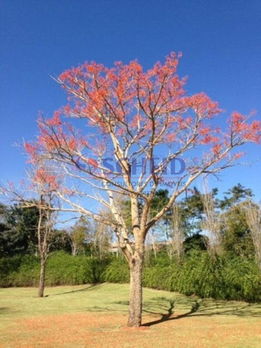 Imagem 7 de 13 de Casa No Condomínio Quinta Da Baronesa - Mr74193