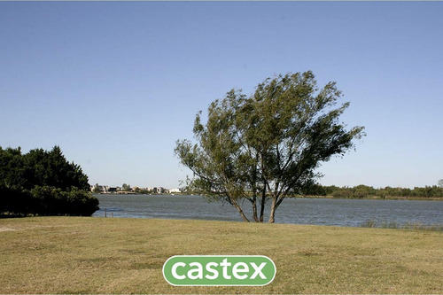 Imagen 4 de 22 de Lote Con Salida Al Lago En La Isla, Nordelta