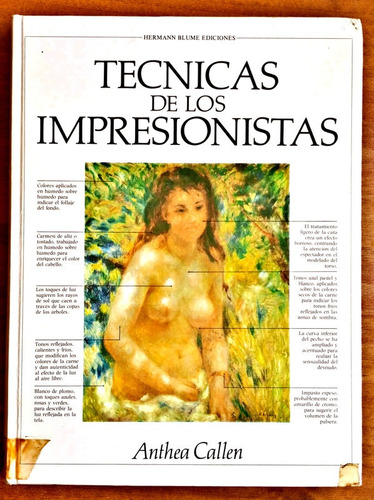 Técnicas De Los Impresionistas / Anthea Callen