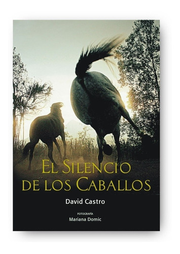 Libro El Silencio De Los Caballos - David Castro