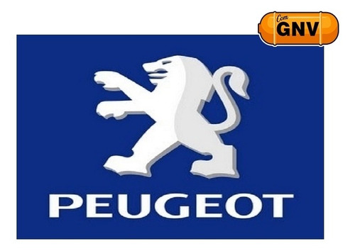 Peugeot 207 1.4 Xr Passion 8v Flex 4p Manual