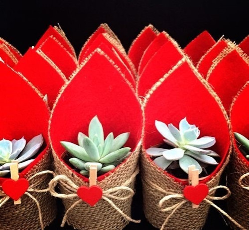 Imagen 7 de 8 de Regalo Suculentas Cactus, Recuerdo Promoción, Matri Misa Año