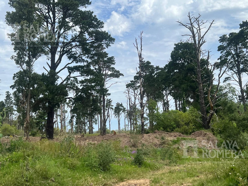 Terreno En  Puerto Quetzal 