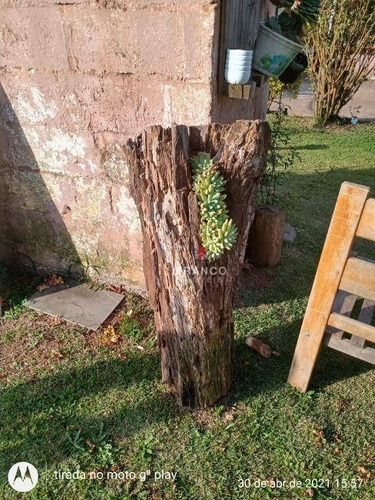 Imagem 5 de 29 de Chácara Com 3 Dormitórios À Venda, 1342 M² Por R$ 265.000,00 - Zona Rural - Munhoz/mg - Ch0155