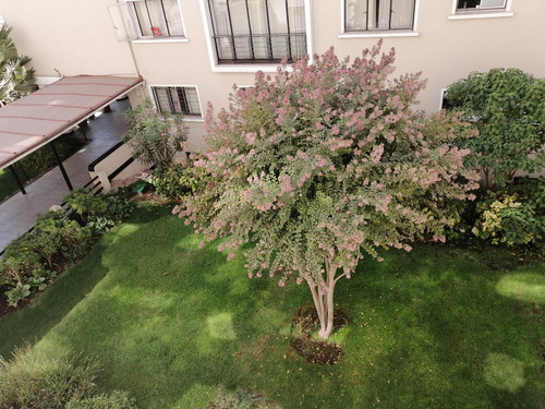 Avenida Providencia, Metro Tobalaba Con Gran Terraza Y Logia